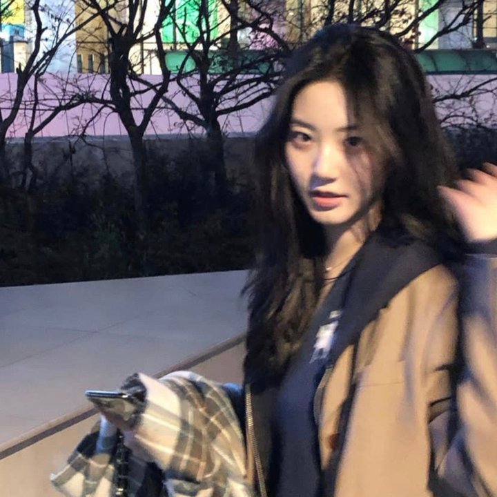 白鹭 海报